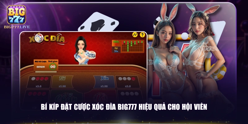 Bí kíp đặt cược Xóc Đĩa BIG777 hiệu quả cho hội viên