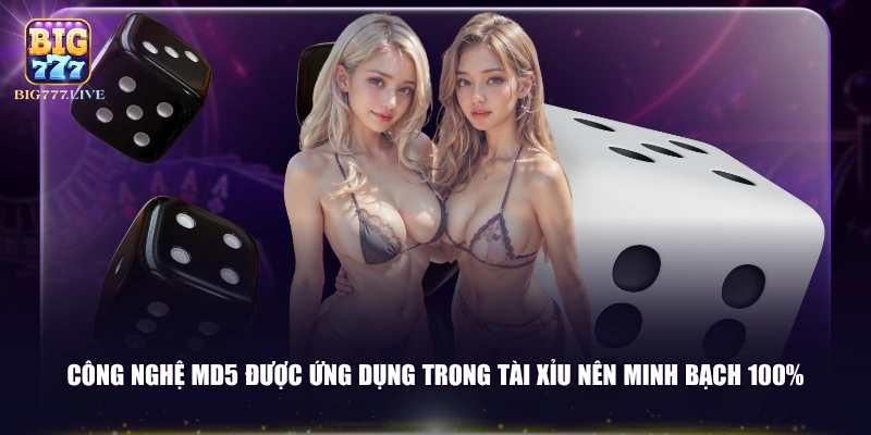Công nghệ MD5 được ứng dụng trong tài xỉu nên minh bạch 100%