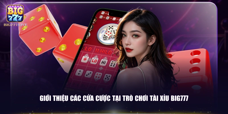 Giới thiệu các cửa cược tại trò chơi Tài Xỉu BIG777 