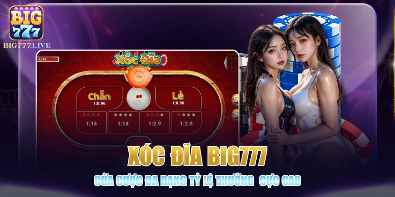 Xóc Đĩa BIG777 - Cửa Cược Đa Dạng Tỷ Lệ Thưởng Cực Cao